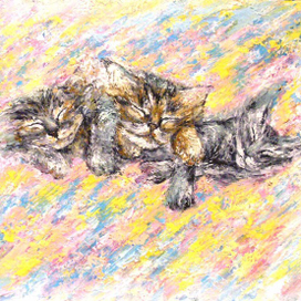 Сладкий сон.