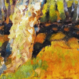 Березы . Этюд