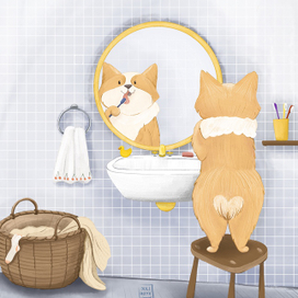 Корги чистит зубки