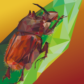 Кенийский жук-носорог