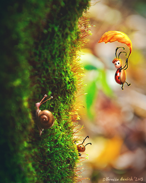 Живущие в лесу