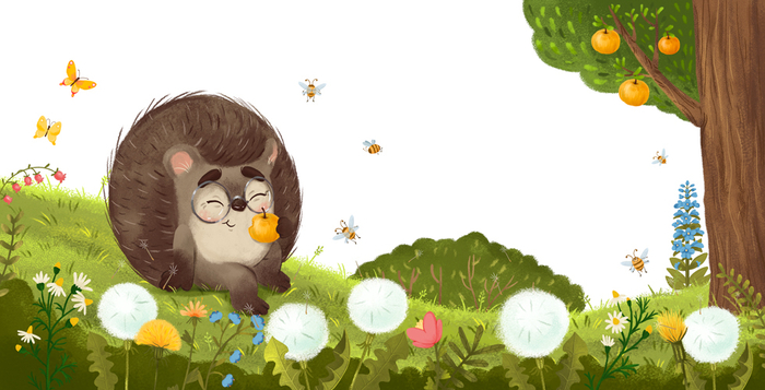 «Ёжик и солнечное лето» Для издательство Clever