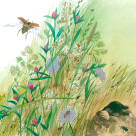 Жуки и крот