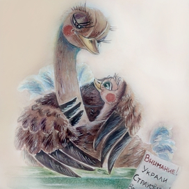 Украли страусёнка (версия 2)