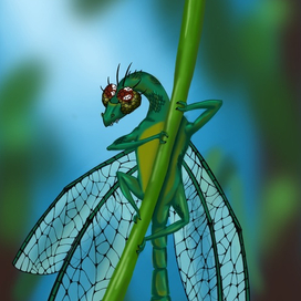 DragonFly