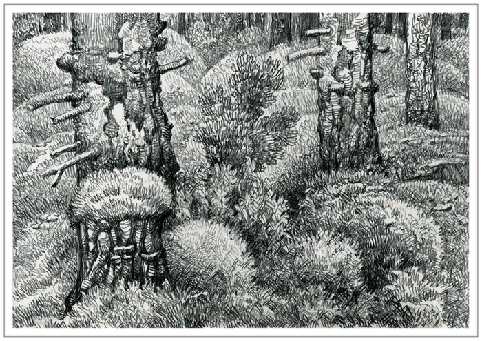 Лесок /зарисовка/