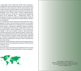 Макет каталога