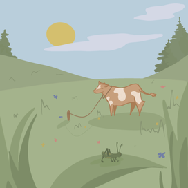 Иллюстрация