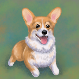 Корги Чеддер
