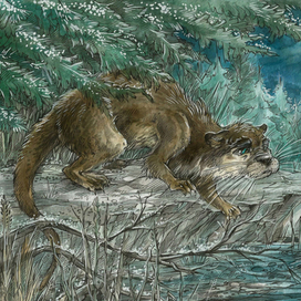 Мудрость Выдры