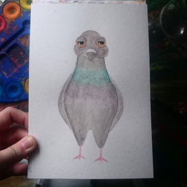 Голубь Стасян 