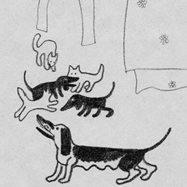 Муха с капризами