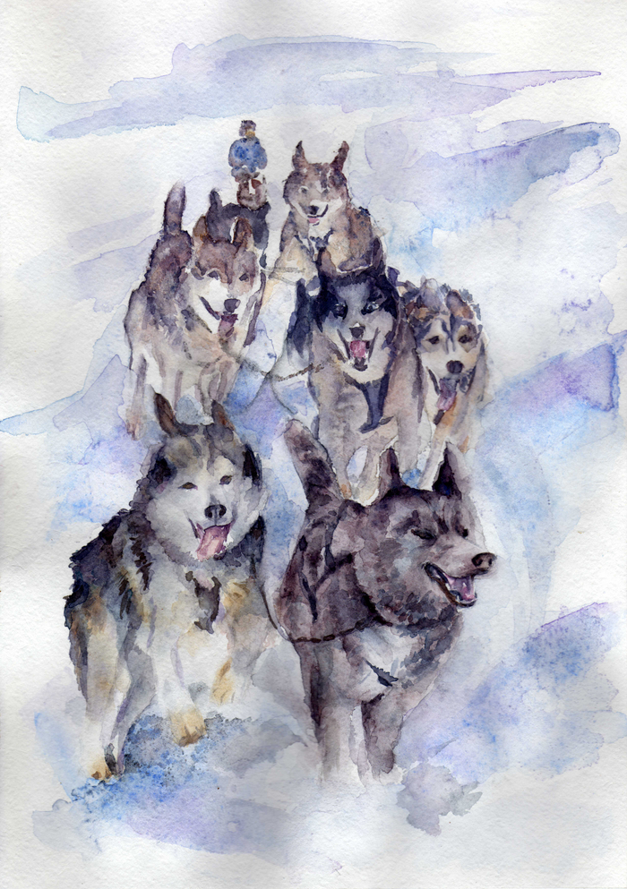 "Coбака человеку друг"