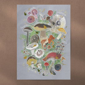 Постер "Грибы"