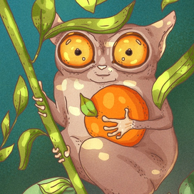 Долгопят и апельсин