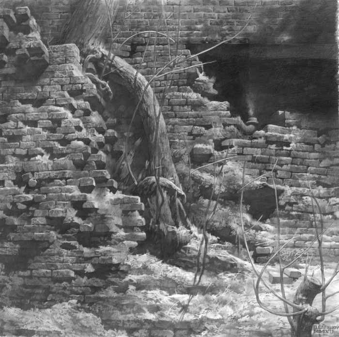 Жизнь в стене