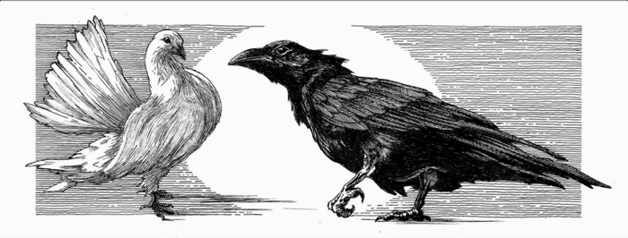 СЕМИРАМИДА. 12-Ф