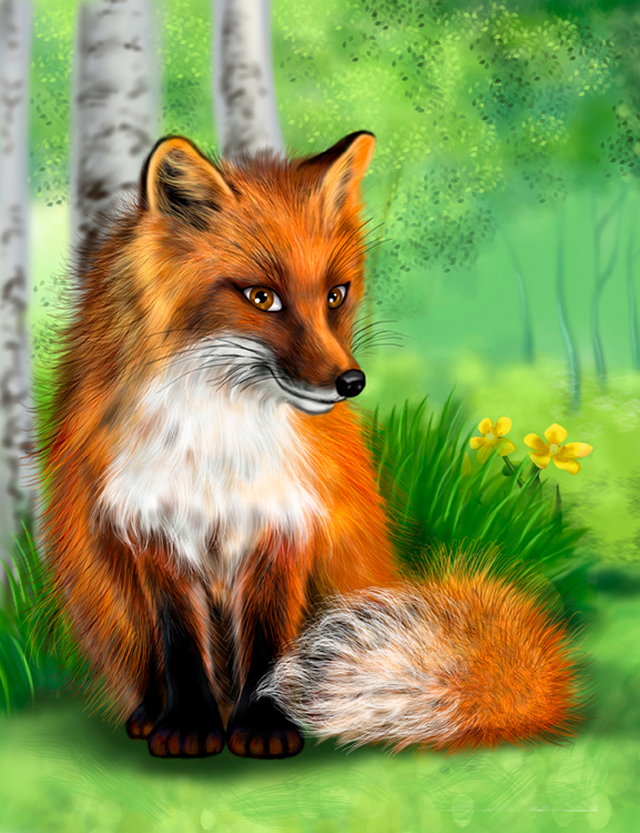 сижу, зайца жду в гости