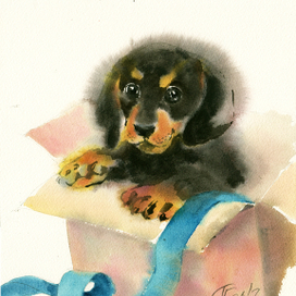 Собака Малыша