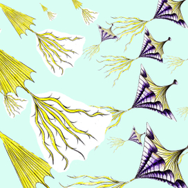 Мореобитатели