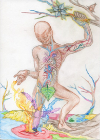 Шаг в Разнообразие