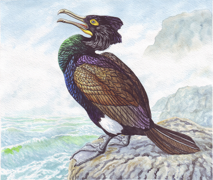 Для кого привычка ходить пешком оказалась не только дурной, но и пагубной...