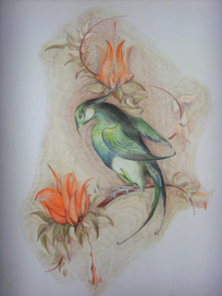 "Райская птица"