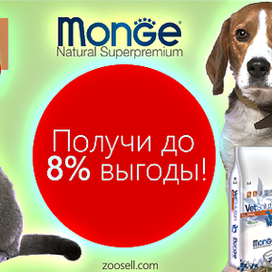  Качественная и недорогая продукция для домашних животных в интернет-магазине «ЗооМаркет»