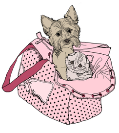 зверятки в сумке №2