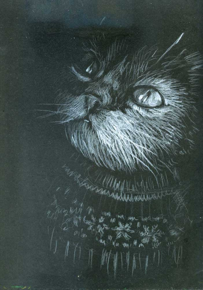 сквозь стекло