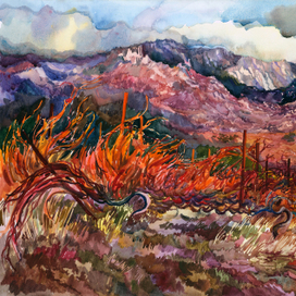 Виноградники