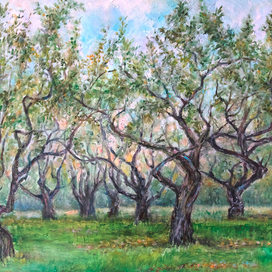 Яблоневый сад