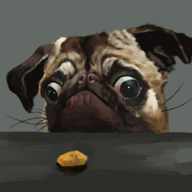 Где печенька?