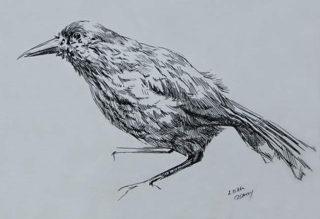 Зарисовка в музее