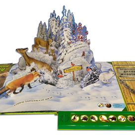 Разворот pop-up книги "В дремучем лесу"