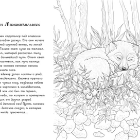 Раскраска "Можжевельник и Полярный лис"