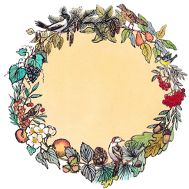 Шмутцтитул