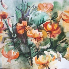 Этюд. Лилии