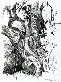 старая олива