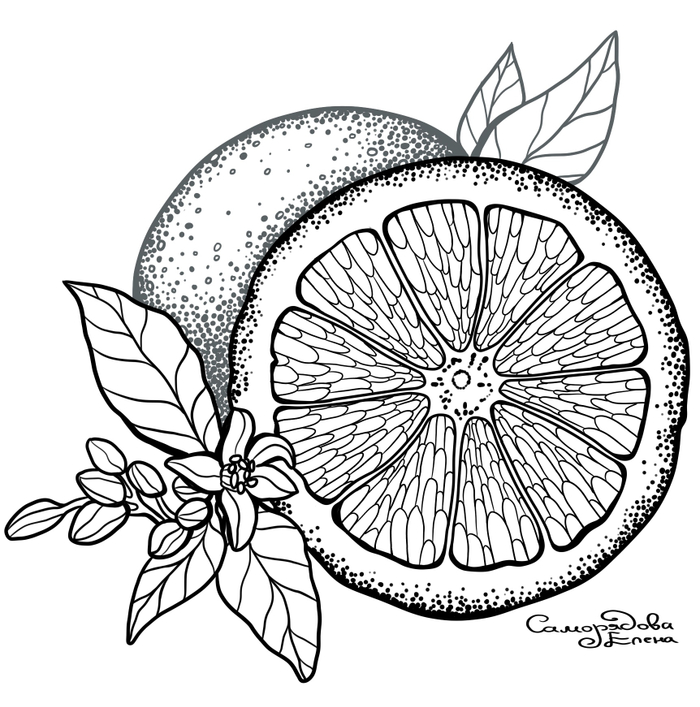 Иллюстрация для ежедневника 