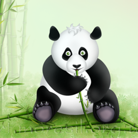 Панда и бамбук