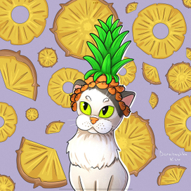 Кот в ананасах