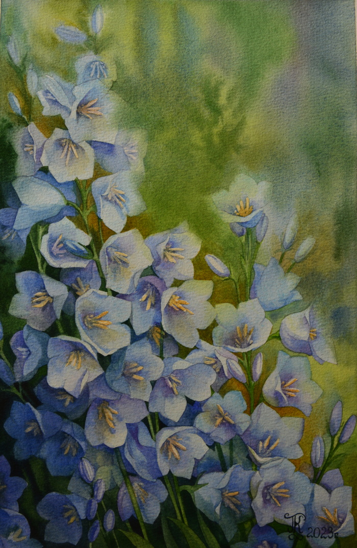 Колокольчики 