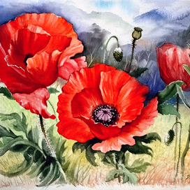 ,,Маки...фамильное,,