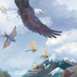 Кто где живёт. Издательство Робинс