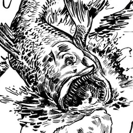 Inktober 2018 #12 WHALE :: ГЛОТ