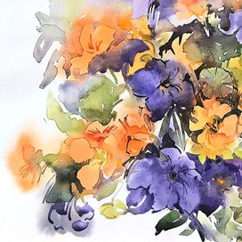 Настурции и петуньи 