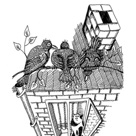 Вид из окна