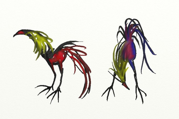 бойцовый петух