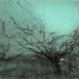 лунная ночь